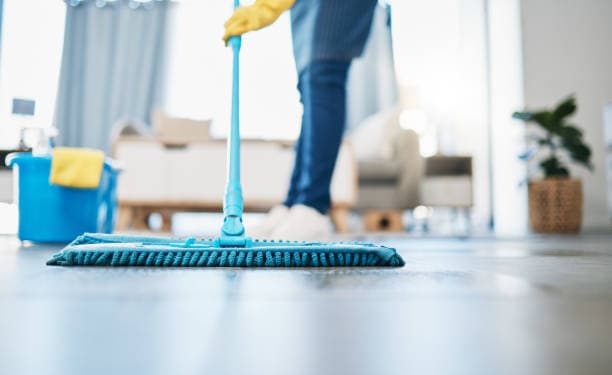 House Cleaning